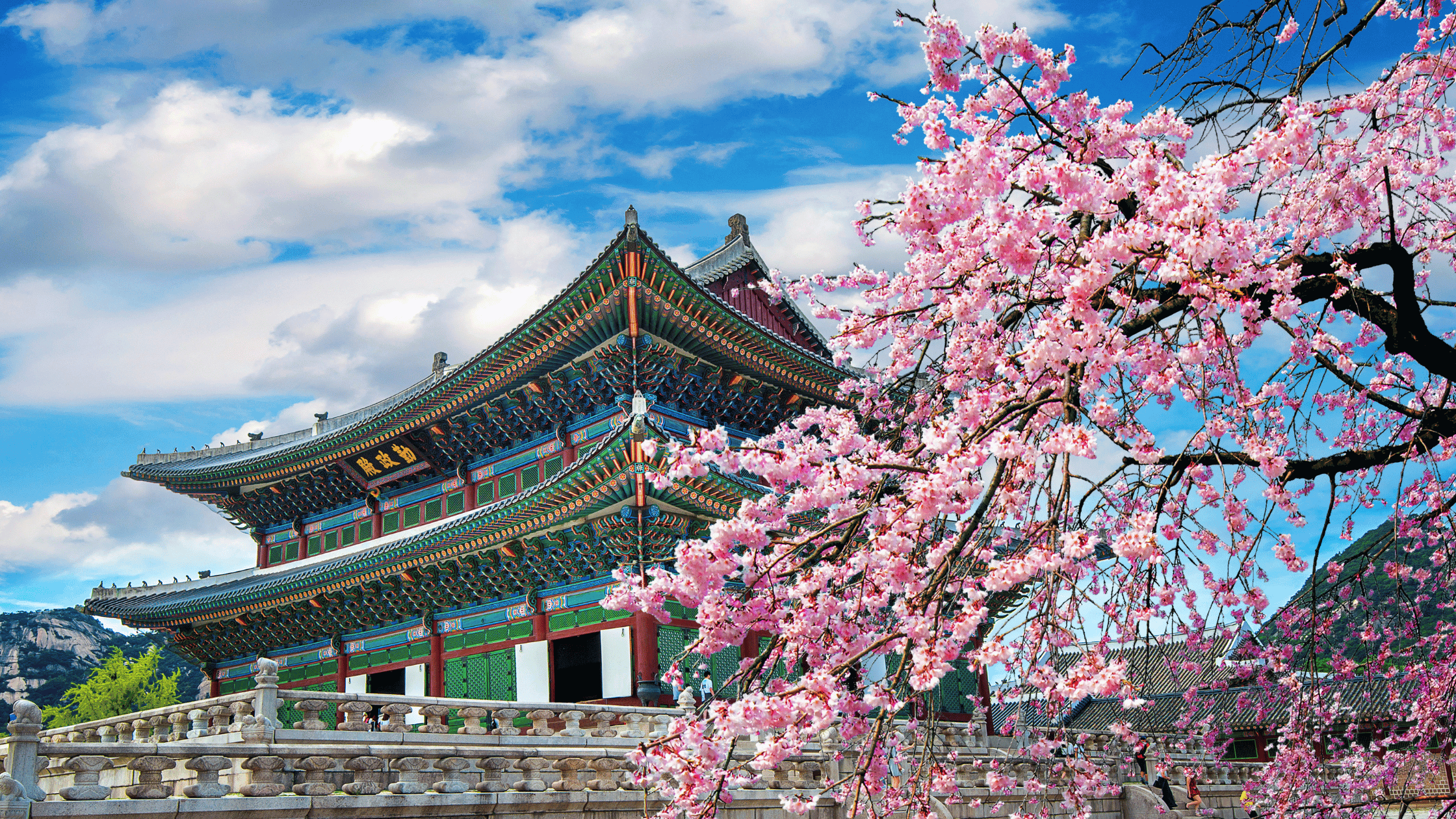 Fresh Travel Picks: Updated List of 5 Incredible Places to Visit in Korea